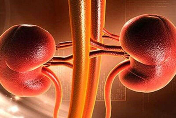 Chronic Kidney Disease